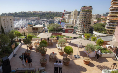 Elevate your travel experience